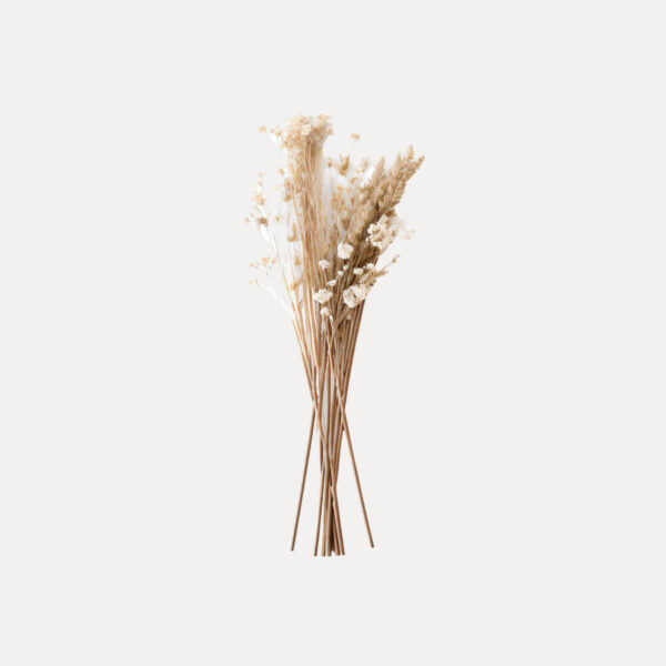 shop49-product43-1 Product Image